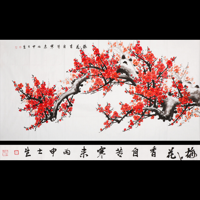 王士生 梅花(huā)香自苦寒来