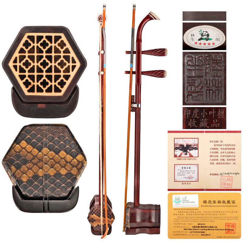 陆林生大师作(zuò)品 二胡